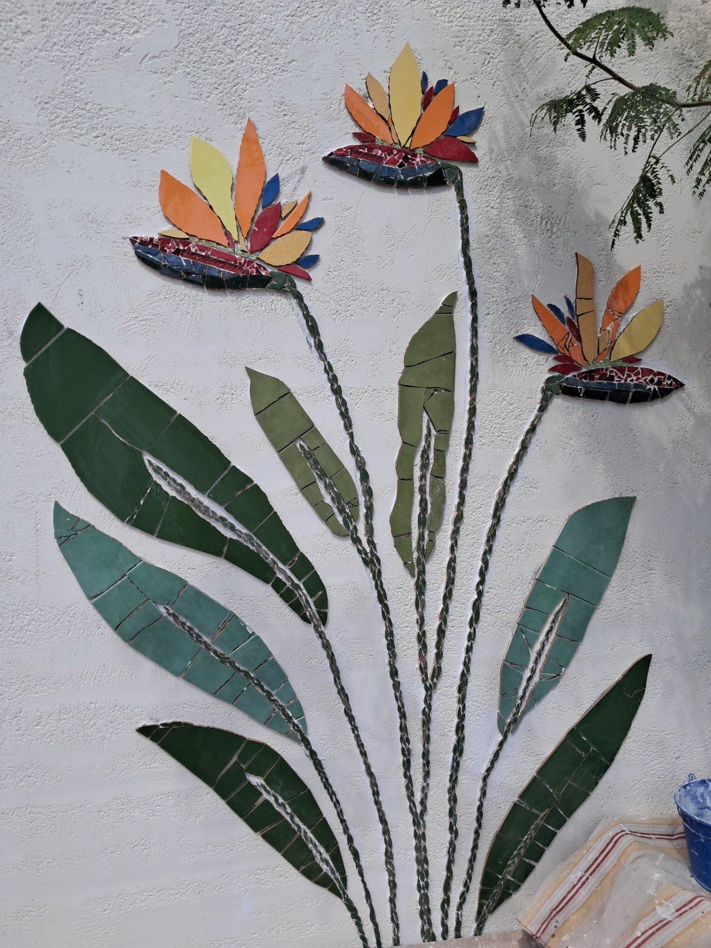 Bird of Paradise